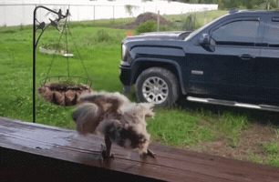 Mikolyants GIF by soviets funny collection