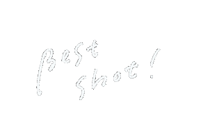 Bestshot Sticker by Lovegraph