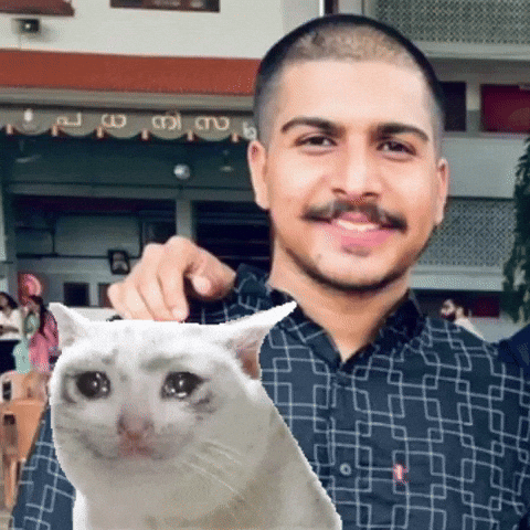 Pariey GIF