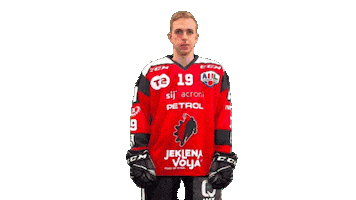 Sport Goal Sticker by HDD SIJ Acroni Jesenice