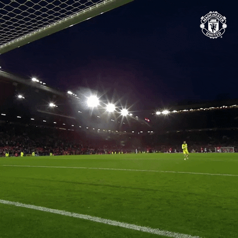 Happy David De Gea GIF by Manchester United