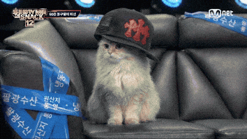 Show Me The Snack GIF