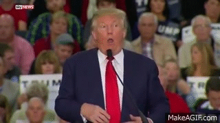 source.gif