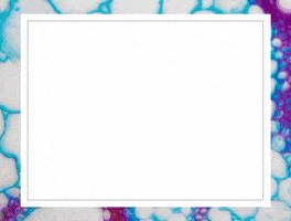 The Institute for Functional Medicine GIF