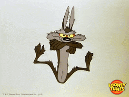 Angry Wile E Coyote GIF by Looney Tunes
