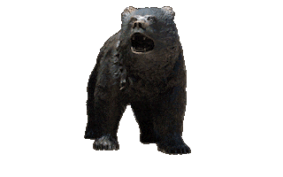 Bruin Bear 360 Sticker by UCLA