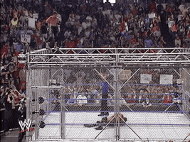flying smackdown live GIF by WWE