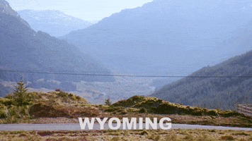 Music Video Van GIF by Tracyanne & Danny