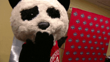 here we go panda GIF by WNBA