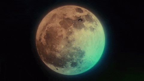 Full Moon Halloween GIF by truTV’s Bobcat Goldthwait’s Misfits & Monsters - Find & Share on GIPHY