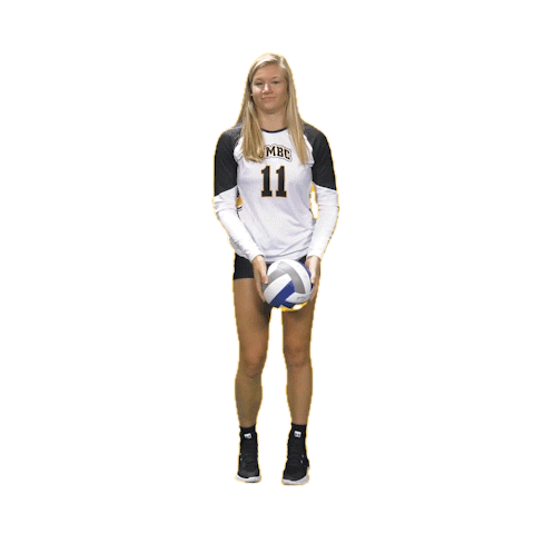 Umbc Volleyball Sticker