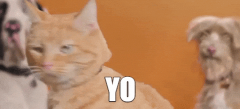 best friends hello GIF by Best Friends Animal Society