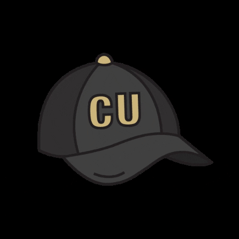 Black And Gold Baseball Cap GIF by CU Online