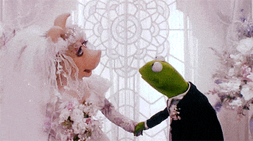 just married love GIF