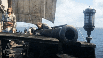 Black Flag Fight GIF by Assassin's Creed
