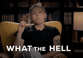 What The Hell Wtf GIF