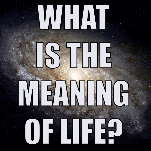 what is the meaning of life? GIF by AwesomenessTV