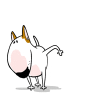 peeing GIF by Jimmy the Bull