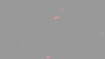 Sport Mode GIF by Lupos GmbH