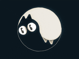 yin yang cat GIF by Tony Babel