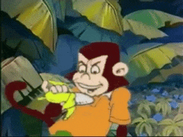monkey eat GIF