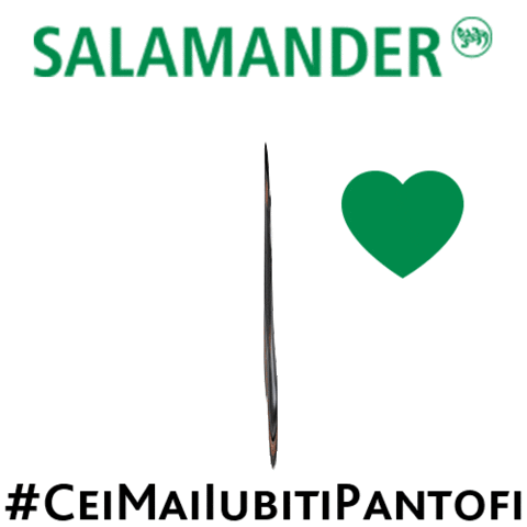 Salamander Romania Sticker