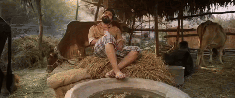 Ramcharan Rangasthalam GIF