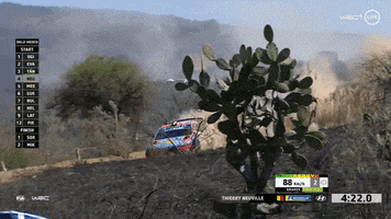 rally mexico dust GIF by FIA World Rally Championship
