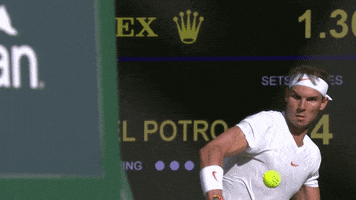 Left Handed Tennis GIF by Wimbledon
