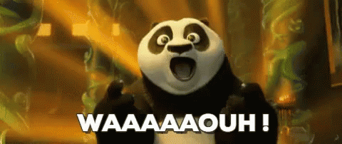 kung fu panda wow GIF