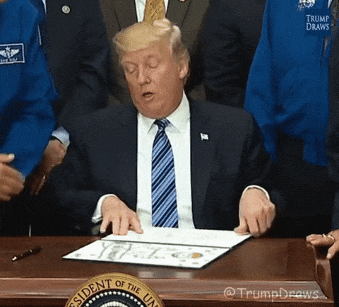 giphy-downsized-large.gif