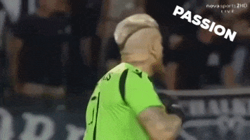 football paokfamily GIF by PAOK FC