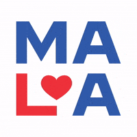 Make America Love Again - 2