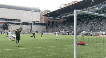 portland timbers disbelief GIF by Timbers