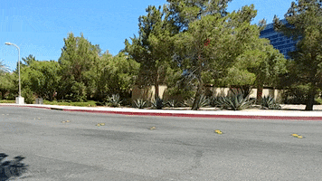 Classic Car GIF by Off The Jacks