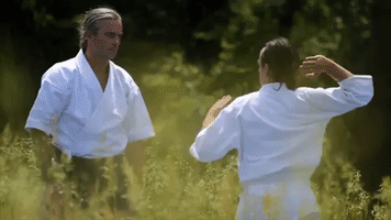 Martial Arts Training GIF