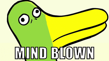 shocked duck GIF by Cartoon Hangover