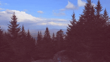 green mountains uvm GIF by University of Vermont