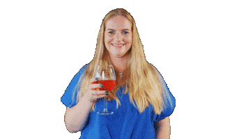 paardenwinst Sticker