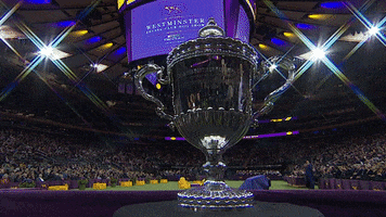 westminster dog show winner GIF by Westminster Kennel Club