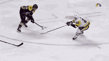 ISS IceQuality GIF