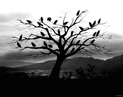 Dark Tree animated GIF