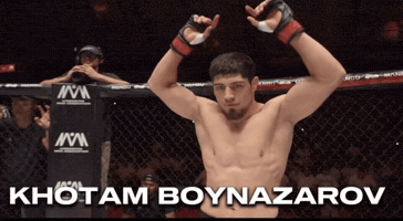 Ufc Mma GIF