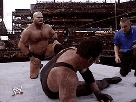 you aint shit a train GIF by WWE