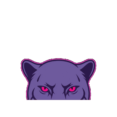 Slg Sticker by Greek Swag Pack
