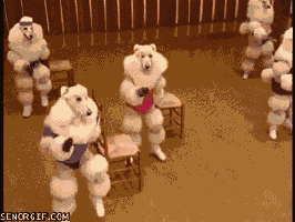 Poodle GIF by Kate
