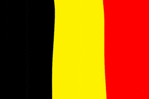 Belgium Waffle GIF