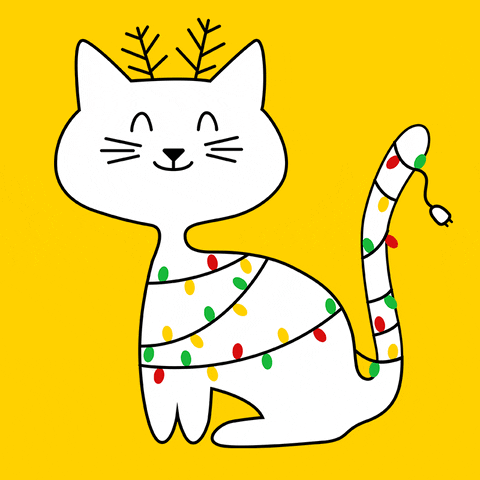 Cat Christmas GIF by Kochstrasse™