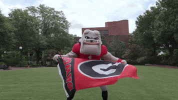 Video gif. University of Georgia’s bulldog mascot bangs his big head up and down as he waves a University of Georgia “Dawgs” flag.