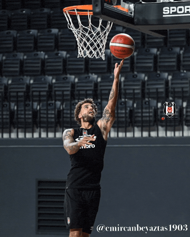 Scottie Wilbekin GIF